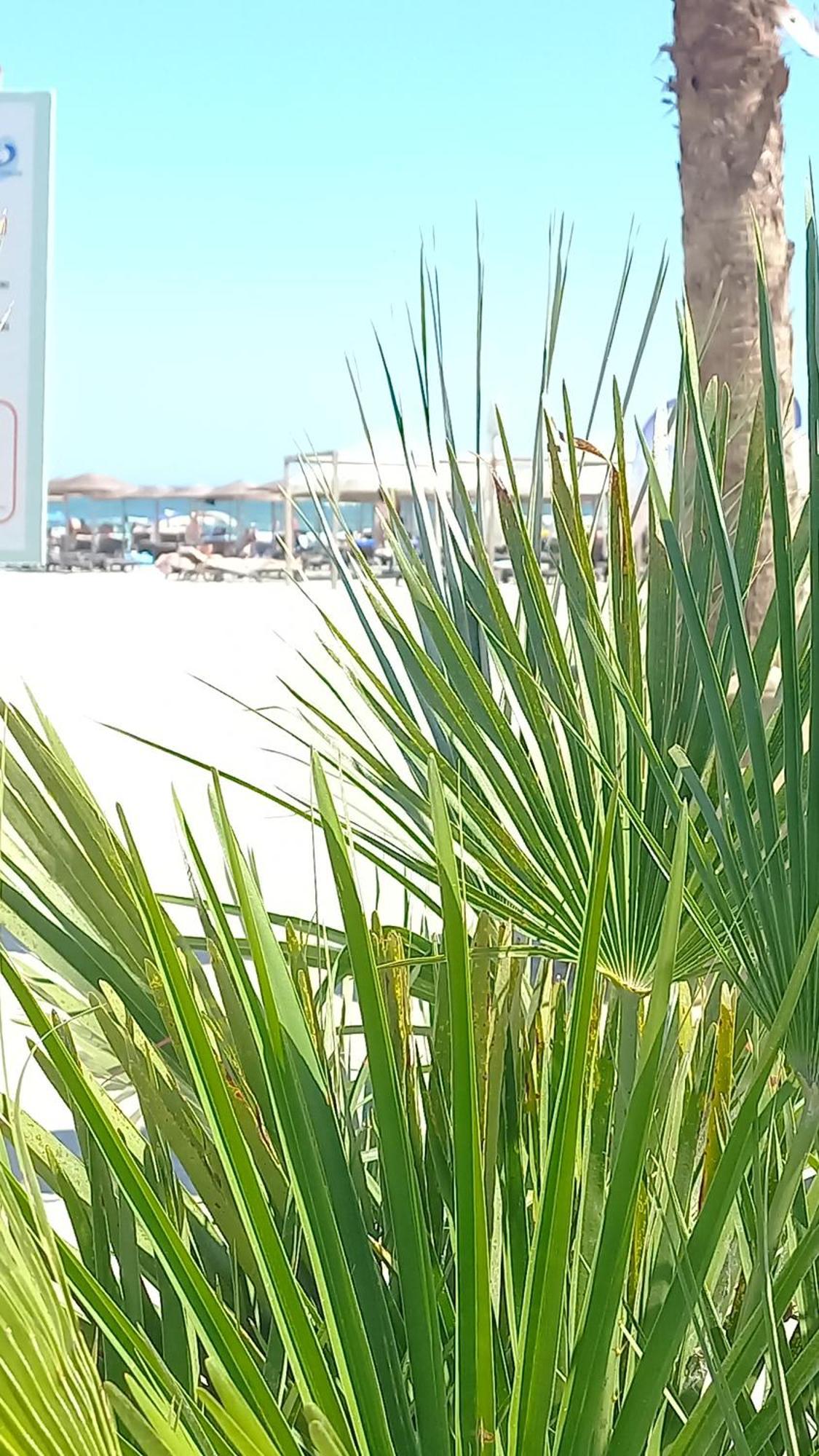 Luxury Promenada Apartment - Frontal Beachfront Mamaia Nord Năvodari Exteriör bild